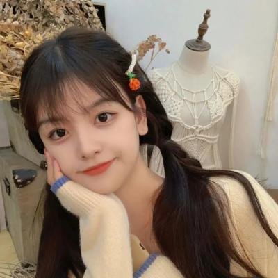 窈窕淑男的日记